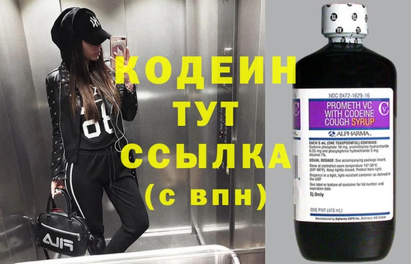 твердый Аркадак